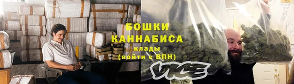 трава Новозыбков