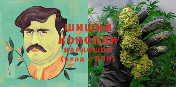 сатива Алексин