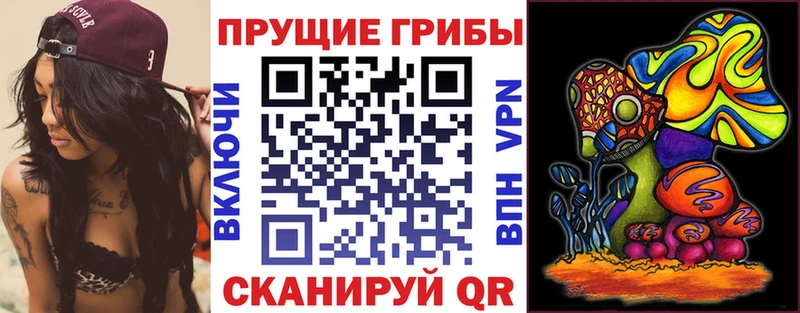 даркнет сайт  Приморск  ОМГ ОМГ tor  Галлюциногенные грибы мухоморы 