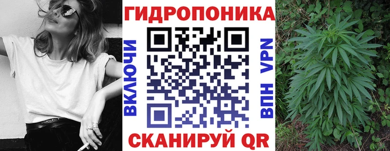 Каннабис MAZAR  Приморск 